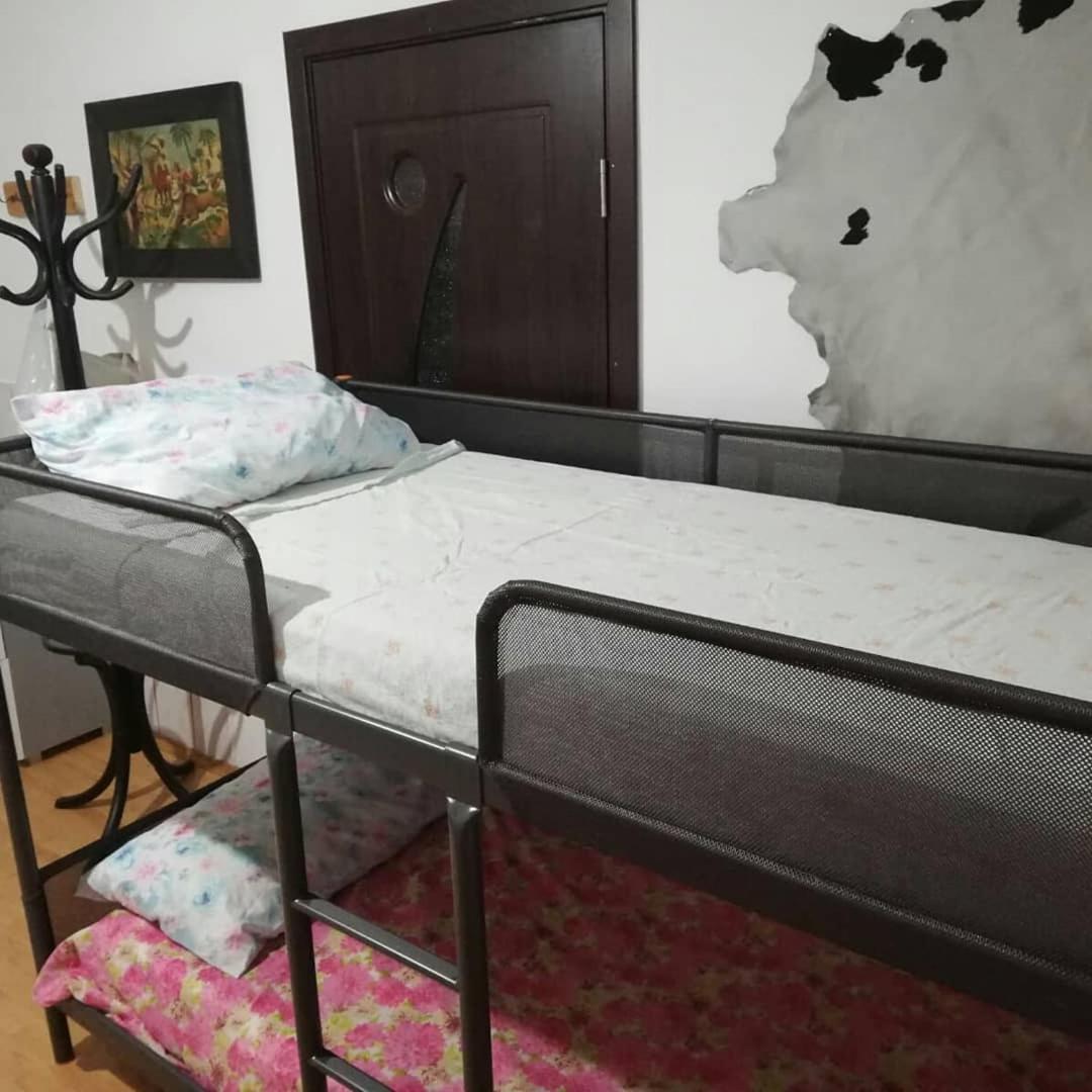 Leyla Hostel Braşov Eksteriør billede
