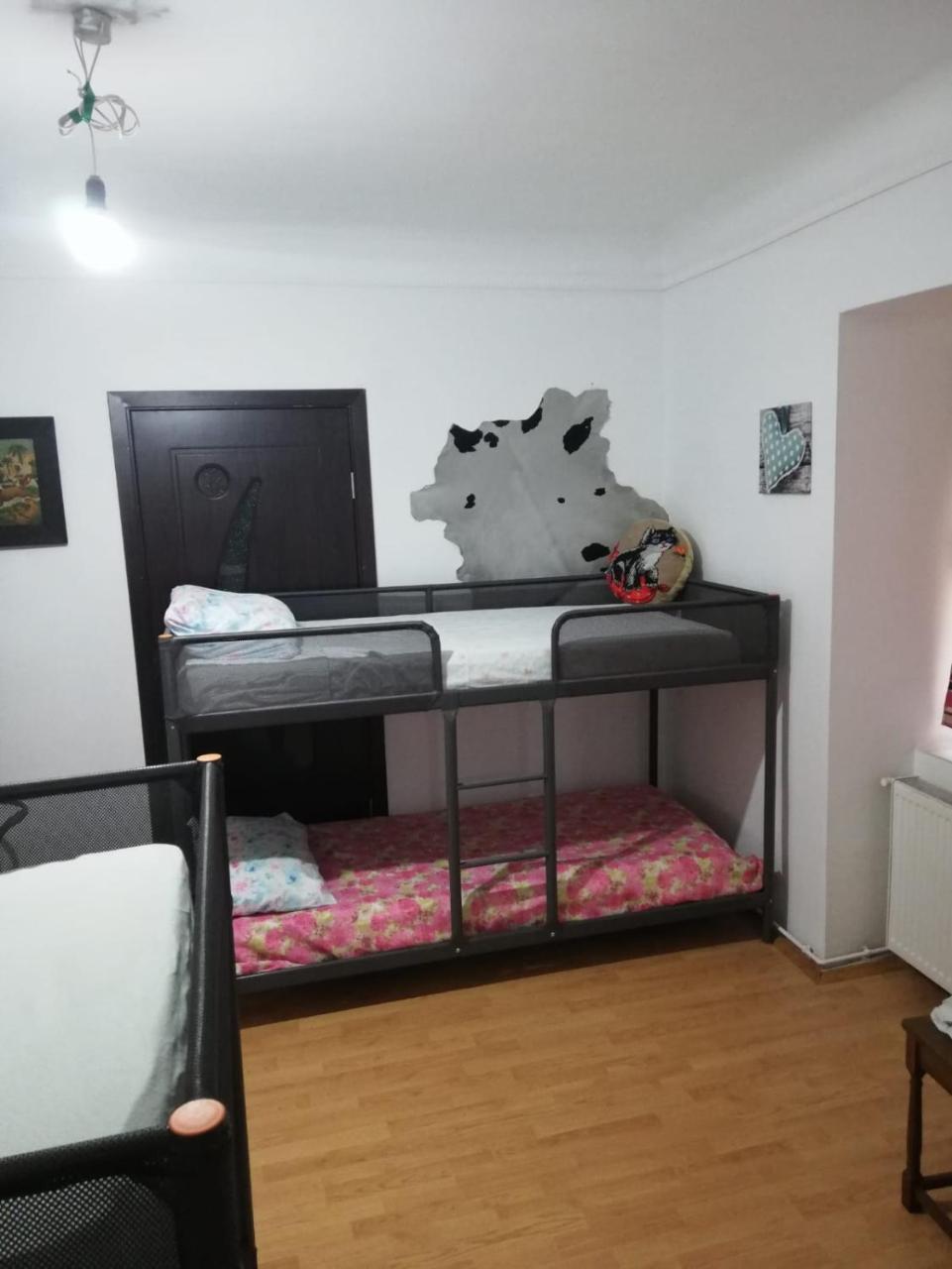 Leyla Hostel Braşov Eksteriør billede