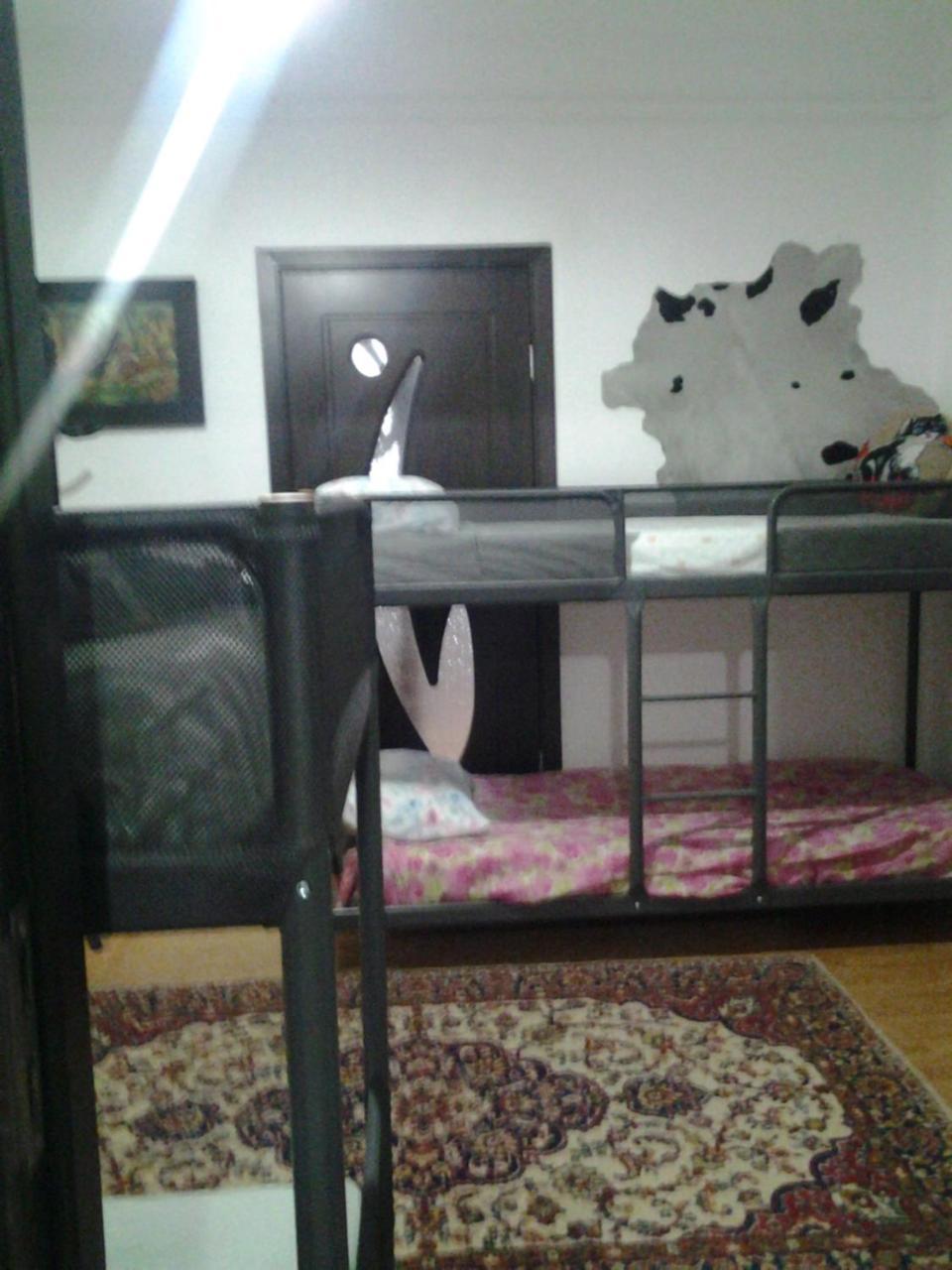 Leyla Hostel Braşov Eksteriør billede